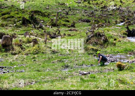 Ragazzo che sbatte in un piccolo torrente alpino e gioca con l'acqua pura e fresca che scorre lungo le montagne che circondano lo 'Steirischer Bodensee', Austria Foto Stock