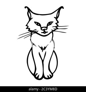 Lince disegnata a mano. Cartoon lynx contorno stile doodle. Immagine vettoriale trasparente isolata su sfondo bianco. Decorazione per biglietti d'auguri Illustrazione Vettoriale