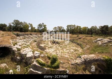 Anfiteatro romano a Siracusa. La vegetazione copre i gradini del teatro e dell'arena Foto Stock
