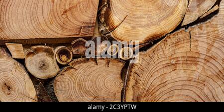 Screensaver, sfondi, texture, concetto di lavorazione del legno - uno sfondo in legno fatto di tronchi di alberi tagliati di diametri diversi sotto forma di A. Foto Stock