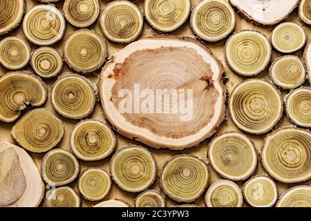 Screensaver, sfondi, texture, concetto di lavorazione del legno - uno sfondo in legno fatto di tronchi di alberi tagliati di diametri diversi sotto forma di A. Foto Stock