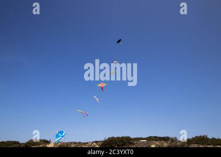 Sette aquiloni colorati in fila che volano sulla spiaggia con un cielo blu sullo sfondo Foto Stock