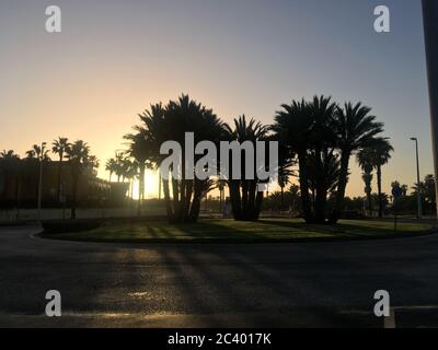 Impressionen vom Strand in Estepona Meer palmen und Muscheln Foto Stock