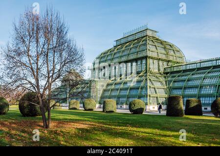 La Palmenhaus Schonbrunn è una grande serra a Vienna, in Austria, con piante provenienti da tutto il mondo. E' stato aperto nel 1882. Foto Stock