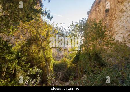 Montagne di avakas gola in autunno. Escursioni nella gola. Il concetto di viaggio e turismo. Foto Stock