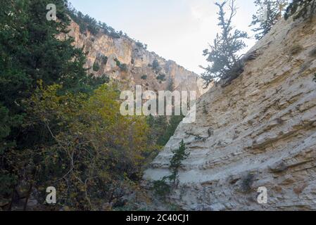 Montagne di avakas gola in autunno. Escursioni nella gola. Il concetto di viaggio e turismo. Foto Stock