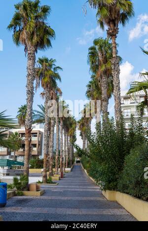 Edifici a Paphos sull'isola di Cipro. Il concetto di viaggio e turismo. Foto Stock