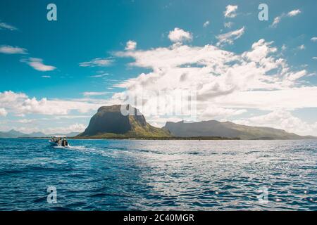 Nuotare con i delfini a le Morne Mauritius. Foto Stock