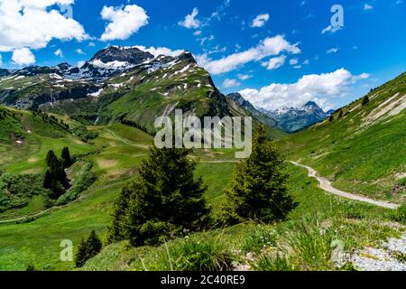 Herrliche, blumenübersähte Bergwiesen im Lechgebiet. Unternehmungen im Frühling. Lech, Warth im Vorarlberg, Österreich Foto Stock