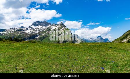 Herrliche, blumenübersähte Bergwiesen im Lechgebiet. Unternehmungen im Frühling. Lech, Warth im Vorarlberg, Österreich Foto Stock