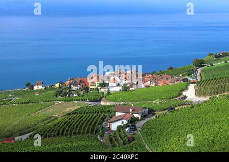 Paesaggio nella regione dei vigneti Lavaux sulle rive del Lago di Ginevra, Svizzera con il villaggio di Rivaz nel punto focale. Foto Stock