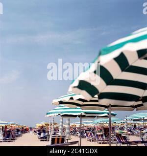 Sedie a sdraio e ombrelloni sulla spiaggia Foto Stock