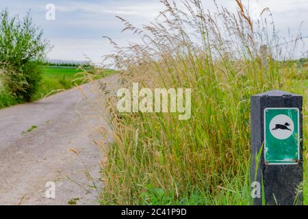 Cartello che indica che è una zona dove i cani possono camminare senza guinzaglio sul lato di un sentiero rurale vicino a un thicket, nuvoloso giorno di primavera a Sou Foto Stock