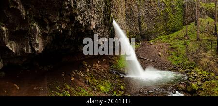 OR02565-00...OREGON - Pony Tail Falls nella Columbia River George National Scenic Area. Foto Stock