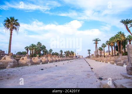 Antiche rovine del tempio di Luxor, sito patrimonio dell'umanità dell'UNESCO, Luxor, Egitto. Foto Stock