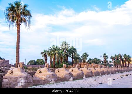 Antiche rovine del tempio di Luxor, sito patrimonio dell'umanità dell'UNESCO, Luxor, Egitto. Foto Stock