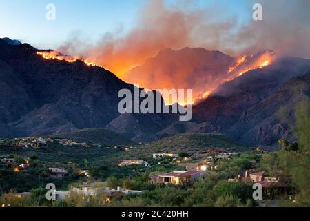 Bighorn Fire accroaching e minacciando case ai piedi delle montagne di Santa Catalina, Tucson, Arizona, Stati Uniti Foto Stock