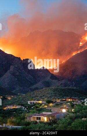 Bighorn Fire accroaching e minacciando case ai piedi delle montagne di Santa Catalina, Tucson, Arizona, Stati Uniti Foto Stock