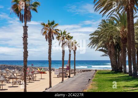 Percorso vicino Playa del Camison, a Las Americas, Tenerife, una spiaggia molto popolare per nuotare e prendere il sole, con sabbia fine, lettini e palapa Foto Stock