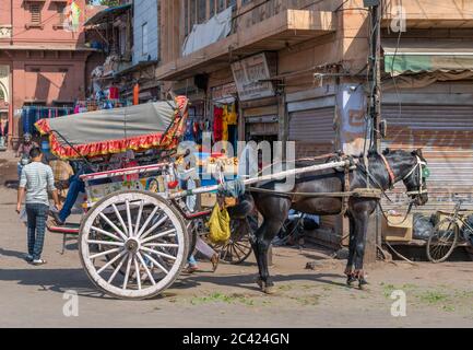 Cavallo e cart su Nai Sarak, una strada trafficata nel centro della città vicino al mercato Sardar, Jodhpur, Rajasthan, India Foto Stock