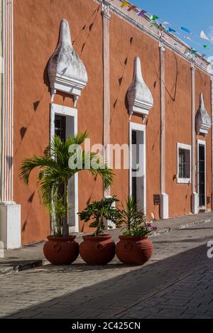 Bella facciata con ombre di Garlands con bandiere triangolari e piante in vaso di fronte ad essa, Via dei Frati, Valladolid, Yucatan, Messico Foto Stock