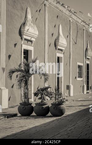 Bella facciata con ombre di Garlands con bandiere triangolari e piante in vaso di fronte ad essa, Via dei Frati, Valladolid, Yucatan, Messico Foto Stock