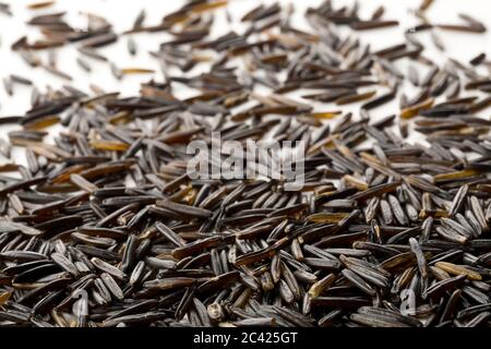 Macro primo piano di grani di riso selvatico nero, crudo, non cotti su sfondo bianco con fuoco selettivo Foto Stock