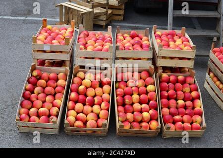 Mele rosse fresche, biologiche in cassette di legno sul mercato all'ingrosso, pronte per la vendita Foto Stock