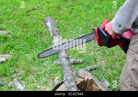 Vecchio lavoratore con motosega elettrica, taglio di branca di faggio, preparazione di legna da ardere per l'inverno Foto Stock