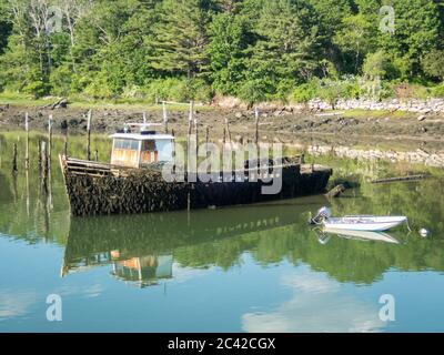 Vecchia barca di aragosta affondata coperta di muschio a bassa marea Boothbay Harbour Maine Foto Stock