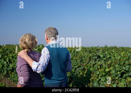 La coppia anziana guarda su un campo pieno di viti - romanticismo - orgoglio Foto Stock