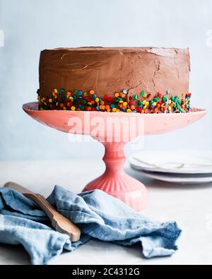 Torta di celebrazione ghiacciata al cioccolato su un supporto per torte rosa. Foto Stock