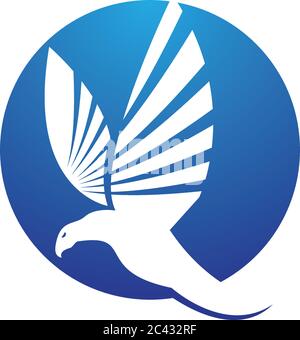 Falcon Eagle Bird modello Logo icona vettore Illustrazione Vettoriale