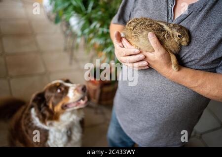 Sand am Main, Germania. 15 giugno 2020. Karl-Heinz Mahr tiene il giovane giacimento HASI tra le sue braccia, mentre il mix australiano dei pastori 'Lasko' gli siede accanto. Il suo cane aveva rintracciato la lepre nel giardino della famiglia nel distretto di Schweinfurt in uno stato freddo e affamato. Il coniglio fu curato dalla famiglia, ma poi, su istruzioni di un veterinario, fu preso in cura di un centro di soccorso e poi morì. Credit: Nicolas Armer/dpa/Alamy Live News Foto Stock