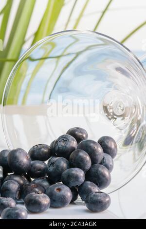 Primo piano di mirtilli dall'aspetto delizioso che fuoriescono da un bicchiere martini sdraiato su uno sfondo sfocato. Concetto di cibo sano e vacanze. Foto Stock