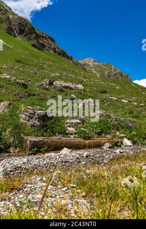 Bäche fliessen vom Karhorn herunter zum Lech, Blumenwiesen erfreuen die Wanderer, Landschaft bei Warth, Lechtal, Vorarlberg, Österreich, blauer Himmel Foto Stock