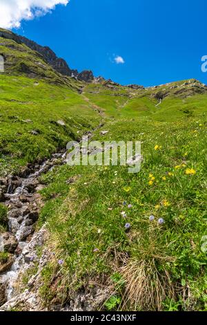 Bäche fliessen vom Karhorn herunter zum Lech, Blumenwiesen erfreuen die Wanderer, Landschaft bei Warth, Lechtal, Vorarlberg, Österreich, blauer Himmel Foto Stock