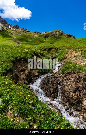 Bäche fliessen vom Karhorn herunter zum Lech, Blumenwiesen erfreuen die Wanderer, Landschaft bei Warth, Lechtal, Vorarlberg, Österreich, blauer Himmel Foto Stock