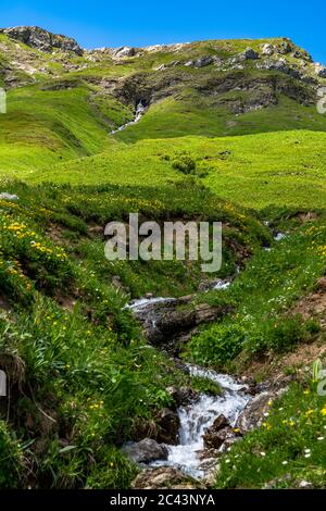 Bäche fliessen vom Karhorn herunter zum Lech, Blumenwiesen erfreuen die Wanderer, Landschaft bei Warth, Lechtal, Vorarlberg, Österreich, blauer Himmel Foto Stock