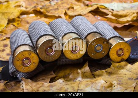 nastro della cartuccia sulle foglie cadute Foto Stock