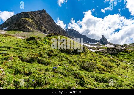 Bäche fliessen vom Karhorn herunter zum Lech, Blumenwiesen erfreuen die Wanderer, Landschaft bei Warth, Lechtal, Vorarlberg, Österreich, blauer Himmel Foto Stock