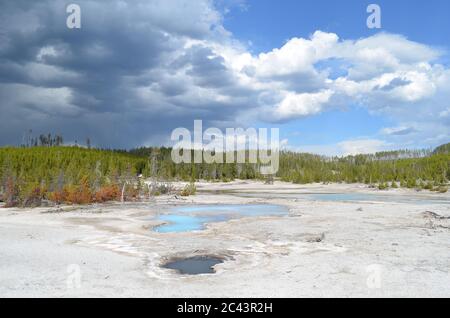 Primavera tarda nel Parco Nazionale di Yellowstone: Tempesta nuvole Loom dietro le sorgenti opalescenti vicino Vixen Geyser nella zona di Back Basin del Norris Geyser Basin Foto Stock