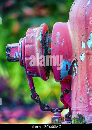 Un primo piano di un idrante rosa. La catena e il cappuccio dell'idrante antincendio sono visibili nell'immagine. Foto Stock