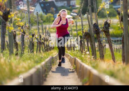 Tutta la lunghezza della giovane donna che corre su scala in vigna durante la giornata di sole Foto Stock