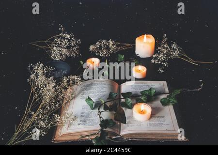 Apri il libro di poesia vintage sulla superficie nera del tavolo con candele accese bianche e fiori secchi. Atmosfera intima e romantica con un ramo di edera sulla sommità Foto Stock