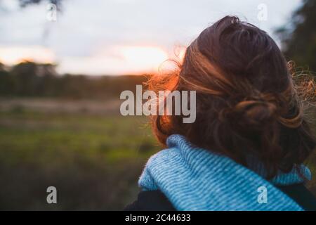 Giovane donna con capelli marroni contro il cielo nuvoloso in parco durante il tramonto, vista posteriore Foto Stock