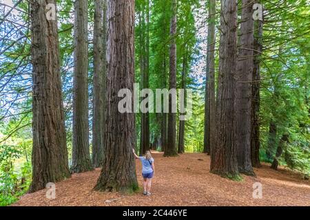 Nuova Zelanda, Oceania, Isola del nord, Rotorua, Hamurana Springs Riserva Naturale, donna in piedi nella Foresta di Redwood (Sequoioideae) Foto Stock