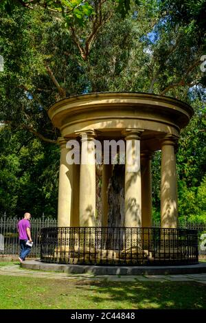 Spagna, Biscaglia, Guernica, colonne che circondano il tronco di albero di Gernika Foto Stock