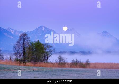 Germania, Baviera, Halblech, Bannwaldsee lago all'alba della nebbia con la luna piena che splende sui monti Tannheim sullo sfondo Foto Stock