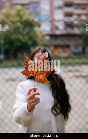 Adolescente ragazza che tiene la foglia di acero asciutto davanti al viso mentre si sta contro recinzione chainlink Foto Stock